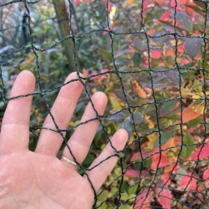F & R Vogelschutznetz für Garten, Engmaschiges Schutznetz, Maschengröße 20 x 20 mm, Gartennetz gegen Vögel, Laub & Schmutz, Teichnetz, Laubschutznetz, Netz für Teich, Obst & Gemüse, 8 x 8 m (64 m²)