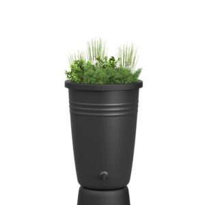 Elho Green Basics Regentonne Plus 110LTR - Regentonne für Züchten Und Ernten - Ø 58.4 x H 80.4 cm - Schwarz/Living Schwarz