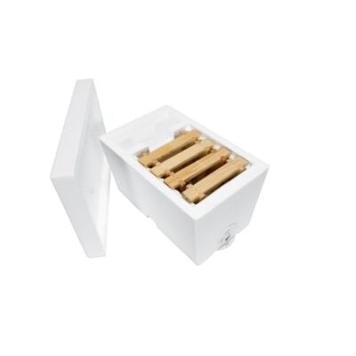 LYSON Bienenkasten für eine Familie aus Styropor unbemalt, Begattungskästchen - Image 7