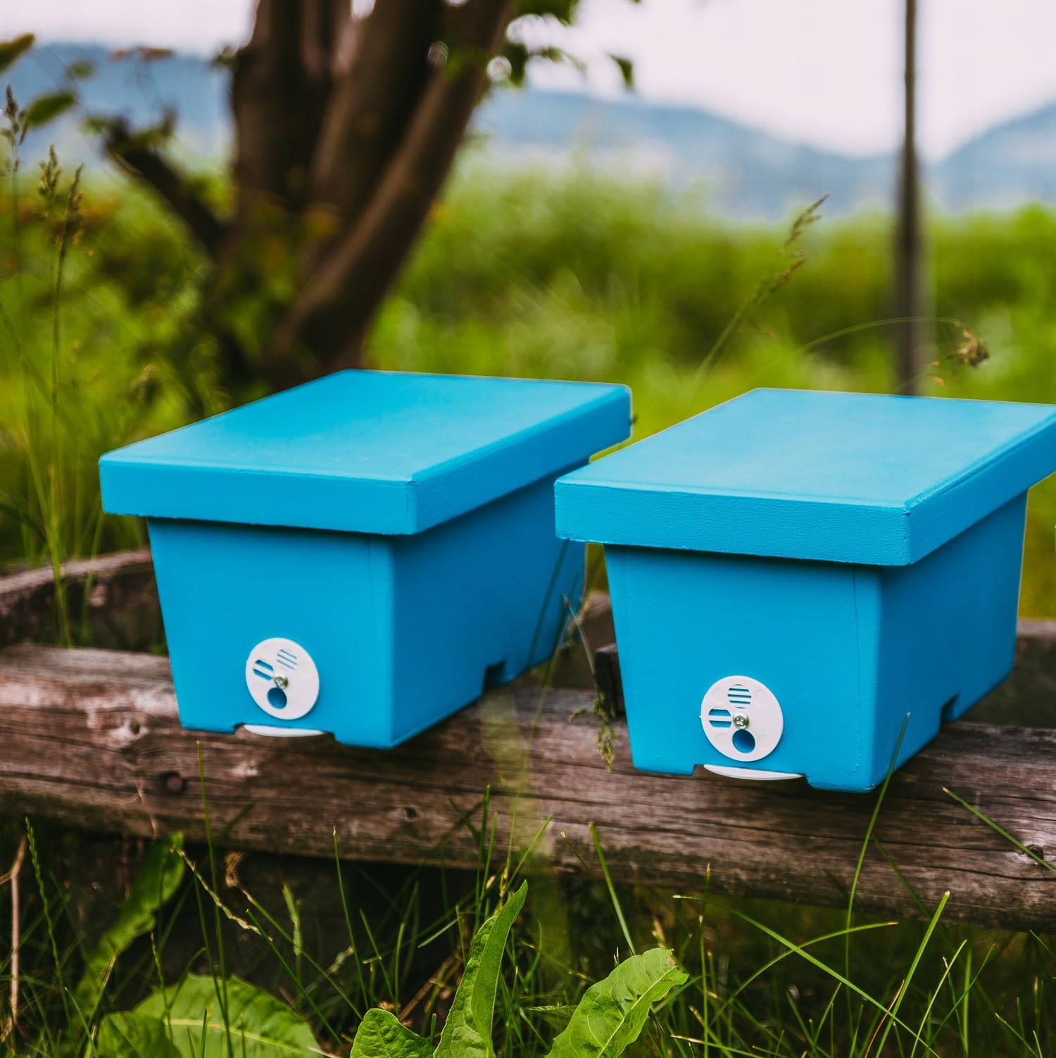 LYSON Mini-Bienenstock Bienenkasten für eine Familie aus Styropor bemalt Hochzeitsbienenstock Begattungskästchen Zubehör Imkerei Ausrüstung - Image 8