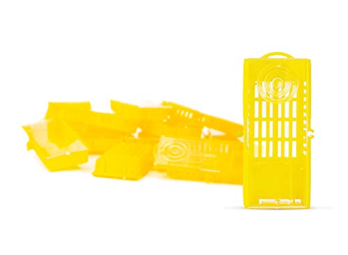 LYSON Versand und Zusetzkäfig Aufzucht Käfige Versenden von Bienenköniginnen Bienenzucht (1000Stück) Versandkäfige Bienenköniginnen, Imkerei, Bienenzucht - Image 4