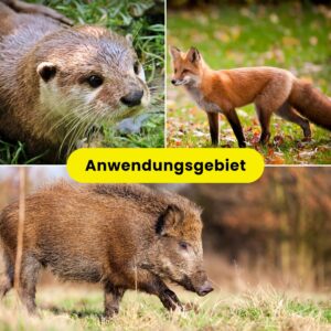 Weidezaunlitze 250m für den Weidezaun Wildschutzzaun mit Kupferleiter Wildschwein Ziege - Image 4